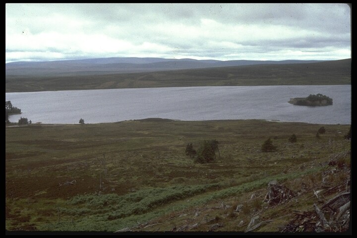 145.JPG