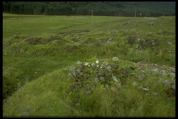 147.JPG