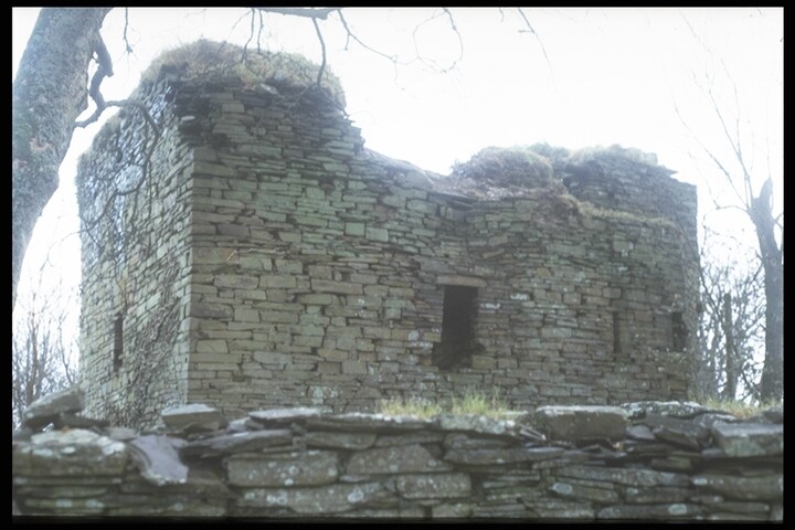 148.JPG