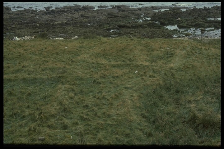 153.JPG