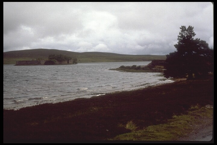 156.JPG