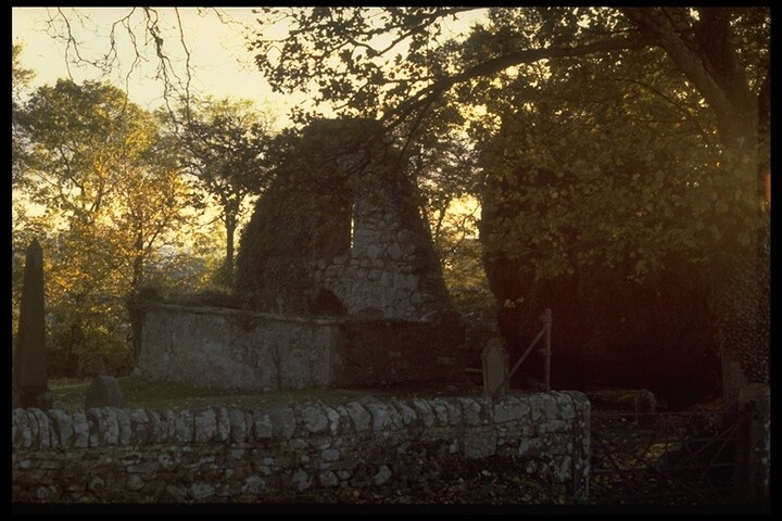 164.JPG
