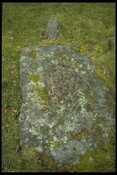 168.JPG
