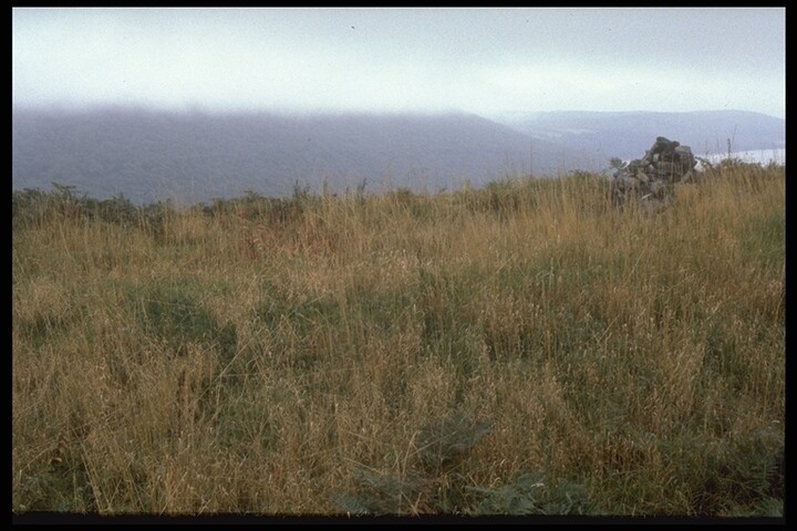 170.JPG