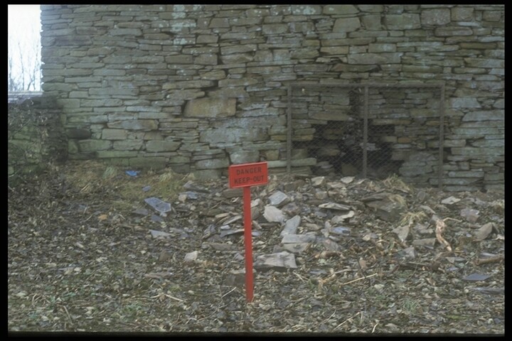 175.JPG