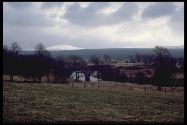 185.JPG