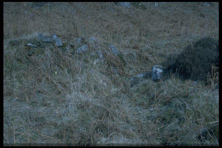 187.JPG