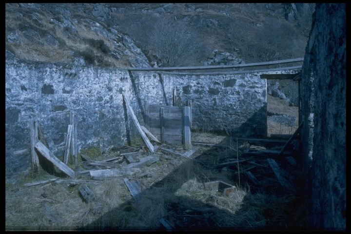 193.JPG