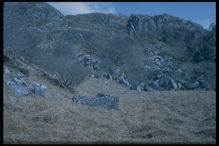 194.JPG