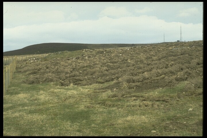 196.JPG