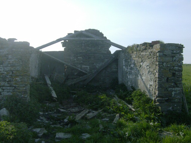 HPIM1974.jpg