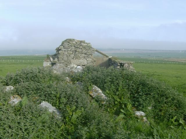HPIM1977.jpg
