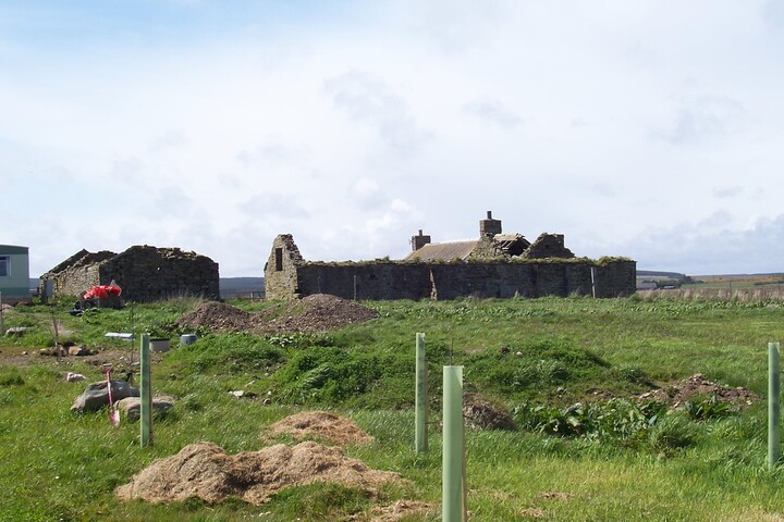 03.jpg