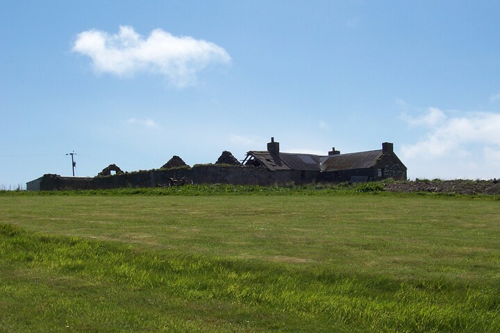 04.jpg