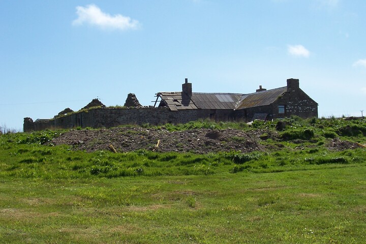 05.jpg