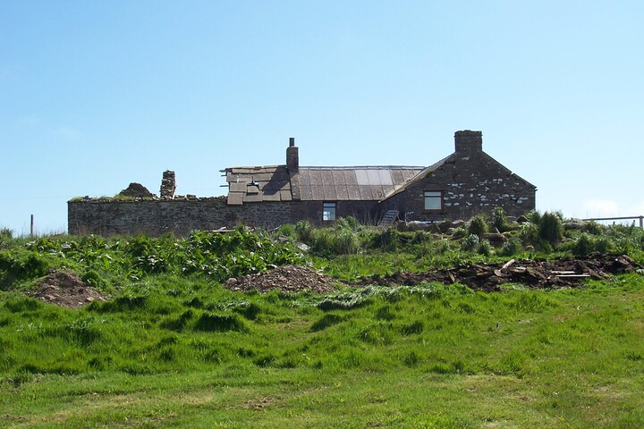 06.jpg