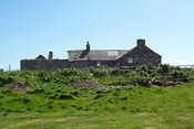 06.jpg