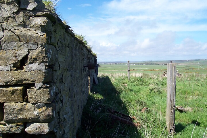39.jpg