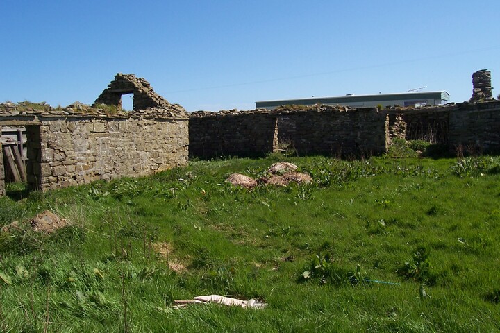 46.jpg