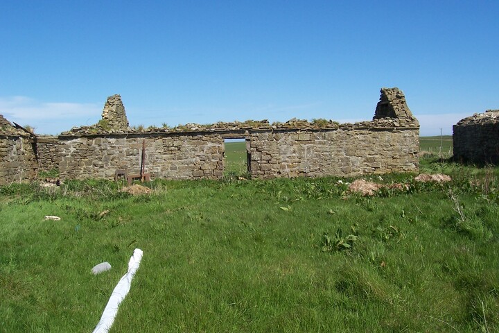 47.jpg