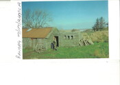 20090608143340_00001.jpg
