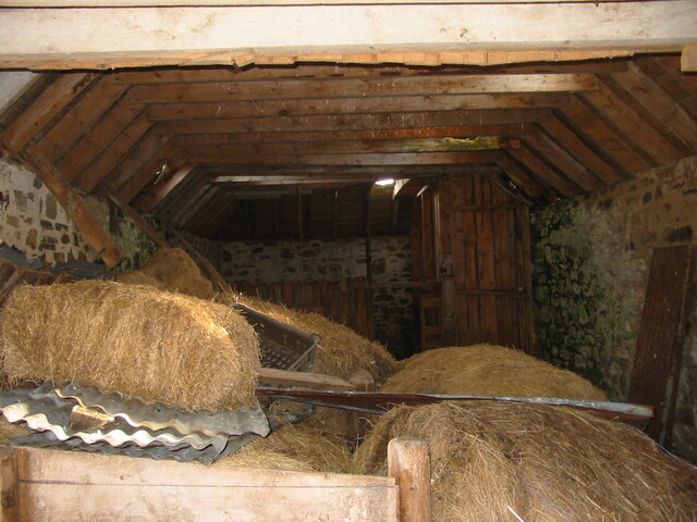 19 - view from t.p.1 to stall 5.JPG