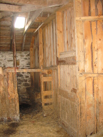 21 - stall 5 and t.p.2.JPG