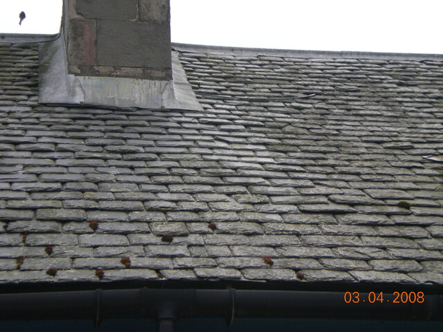 Caley Inn A35.jpg