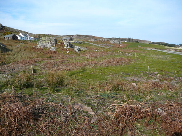 SHG24298_1.JPG