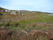 SHG24298_1.JPG