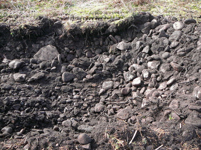 SHG24298_10.JPG