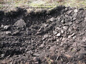 SHG24298_10.JPG