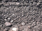 SHG24298_11.JPG