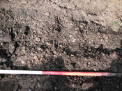 SHG24298_15.JPG