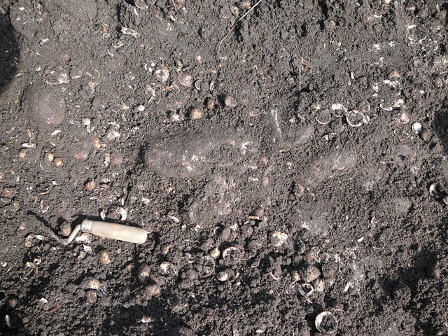 SHG24298_18.JPG
