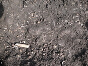 SHG24298_18.JPG