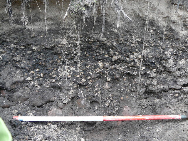 SHG24298_20.JPG