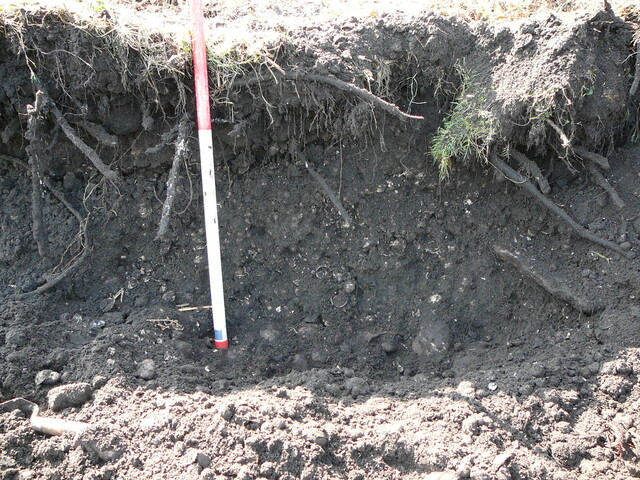 SHG24298_21.JPG