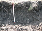 SHG24298_21.JPG
