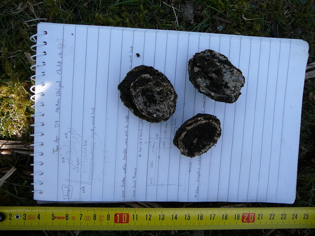 SHG24298_22.JPG