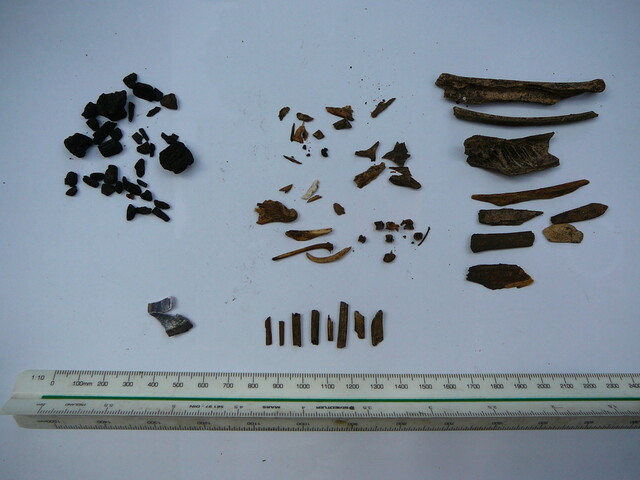 SHG24298_23.JPG