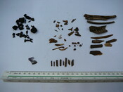 SHG24298_23.JPG
