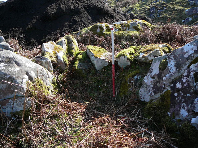SHG24298_5.JPG