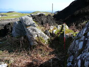SHG24298_6.JPG