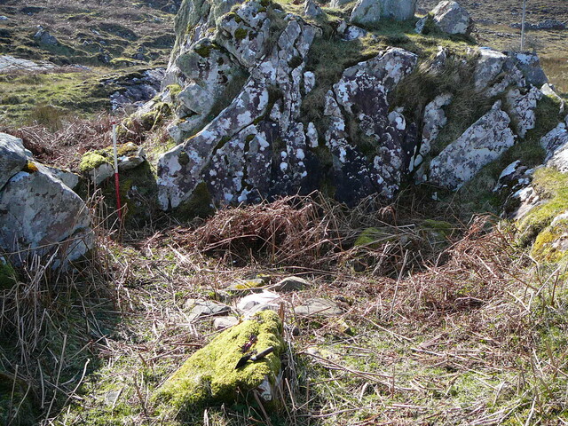 SHG24298_7.JPG