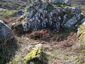 SHG24298_7.JPG