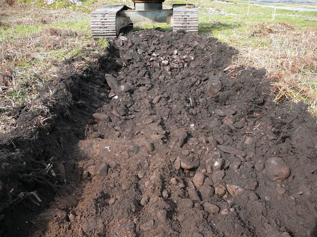SHG24298_9.JPG