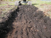 SHG24298_9.JPG