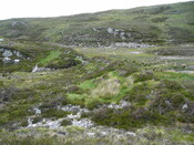 SHG24304_1.JPG