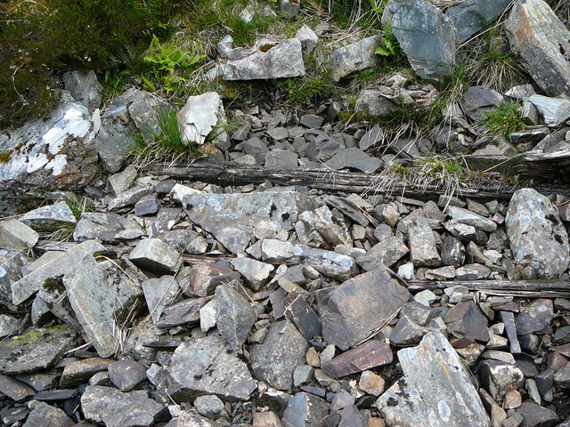 SHG24304_10.JPG